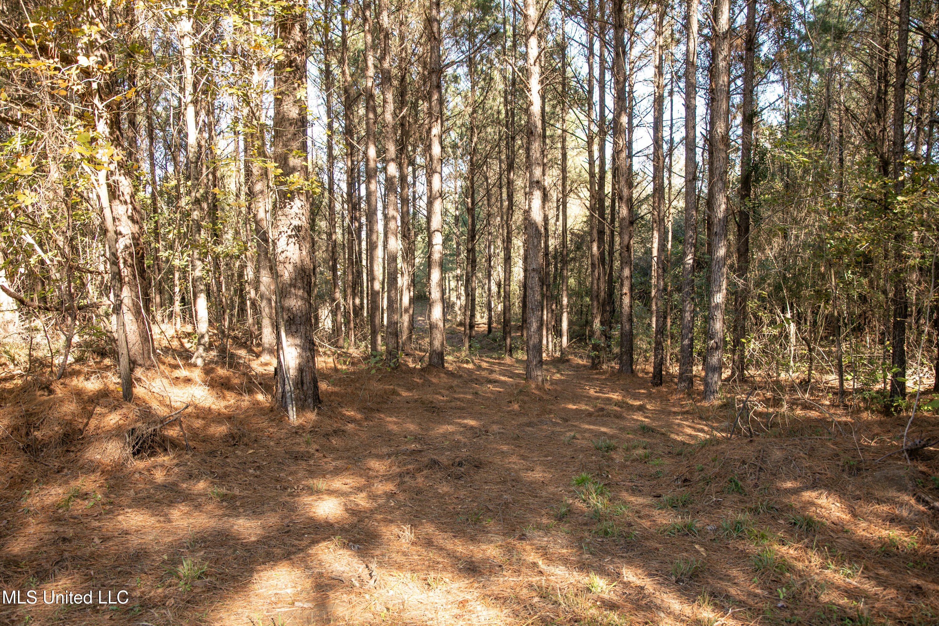 Union Road Hazlehurst, MS 39083 - Photo 23 of 29 copiah40-54