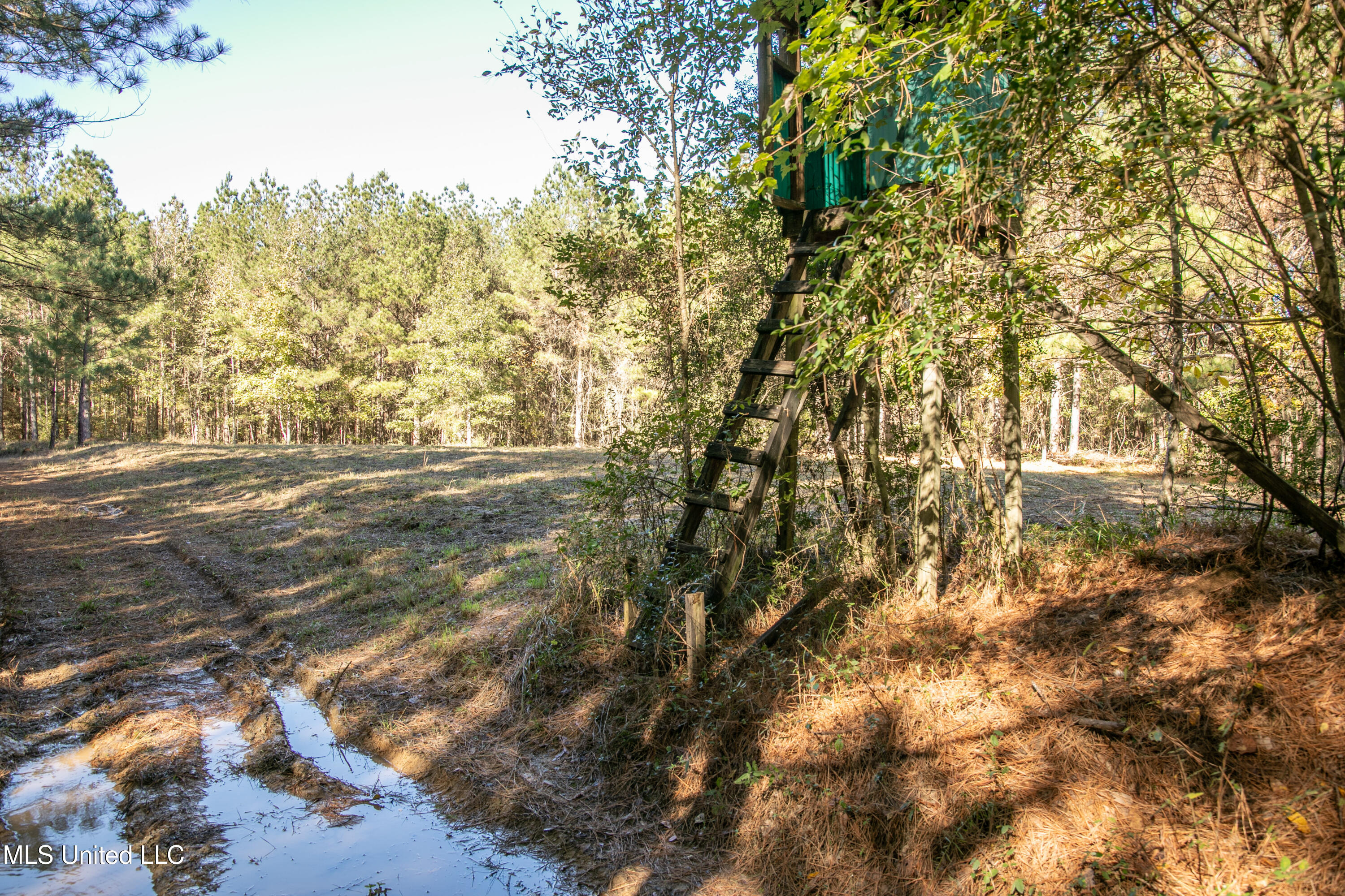 Union Road Hazlehurst, MS 39083 - Photo 25 of 29 copiah40-56