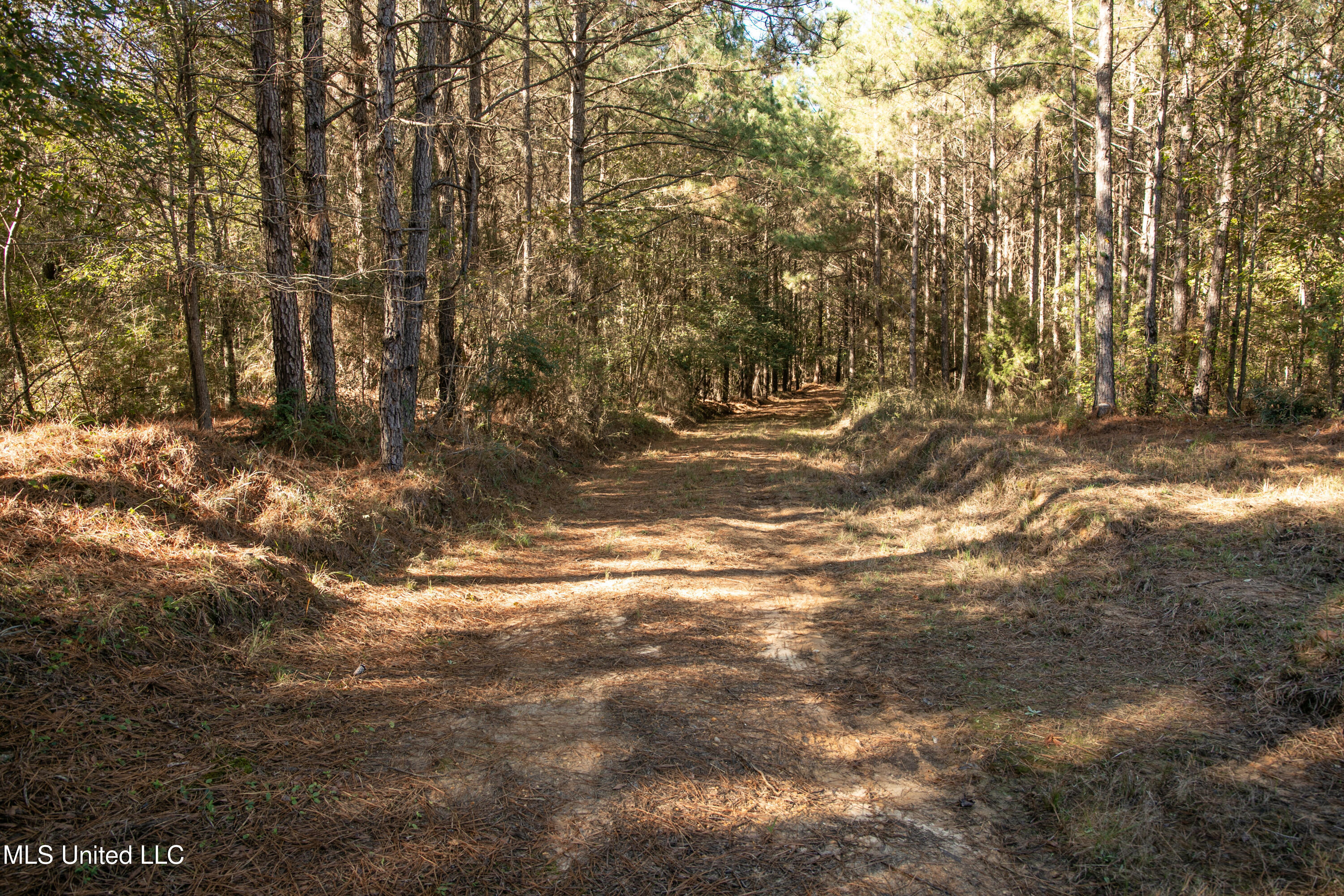 Union Road Hazlehurst, MS 39083 - Photo 27 of 29 copiah40-58