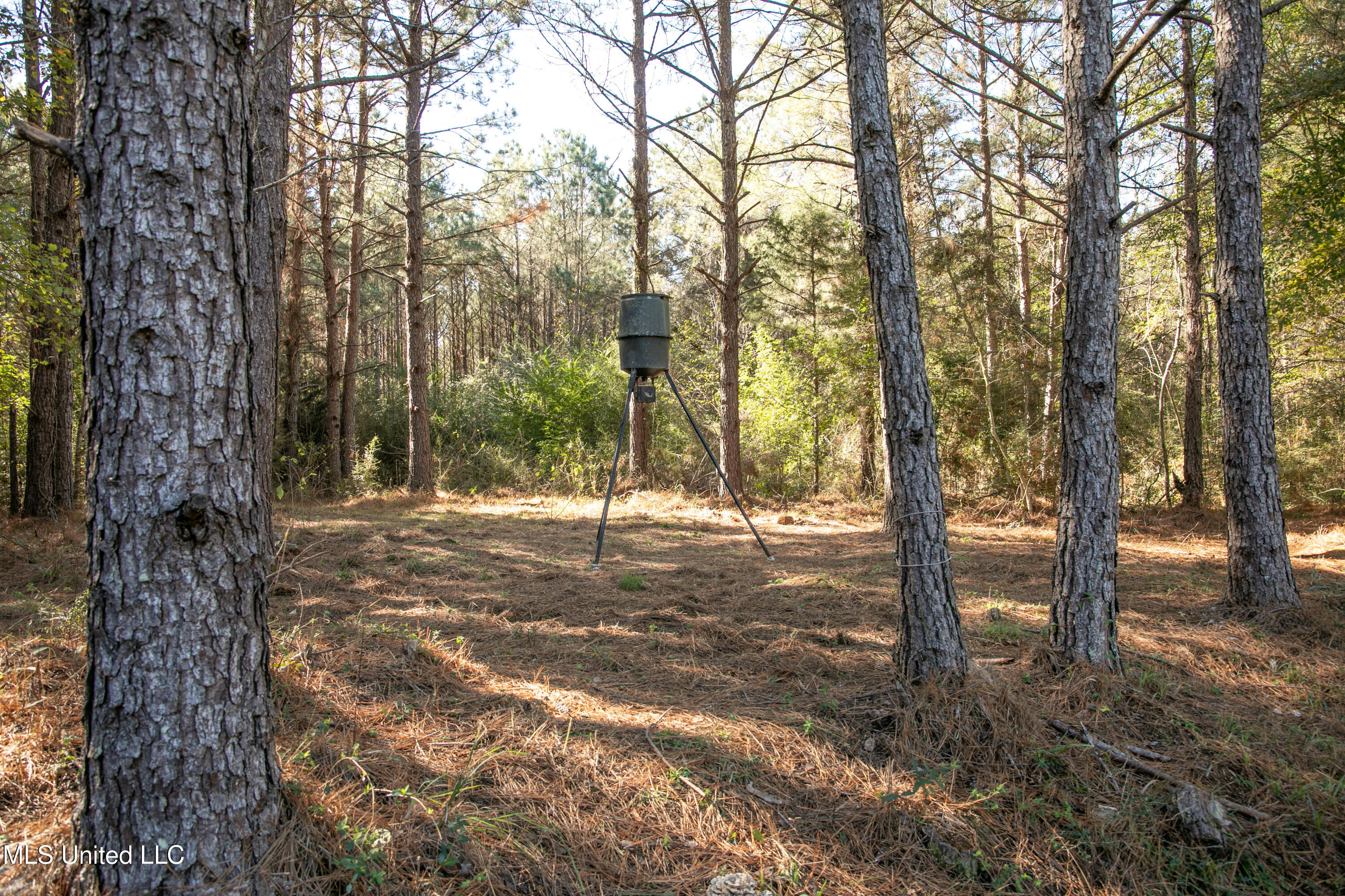 Union Road Hazlehurst, MS 39083 - Photo 28 of 29 copiah40-59