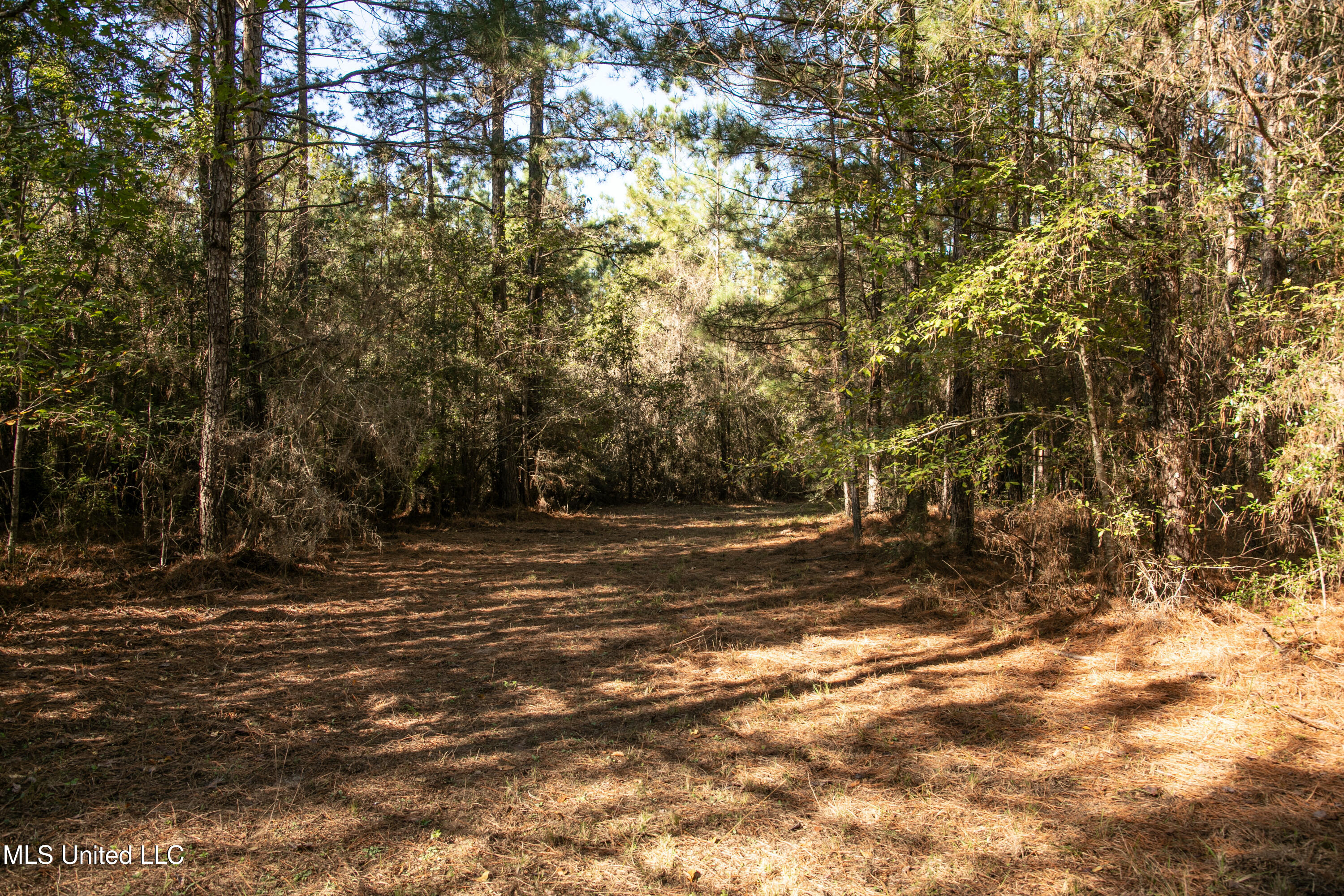 Union Road Hazlehurst, MS 39083 - Photo 3 of 29 copiah40-34