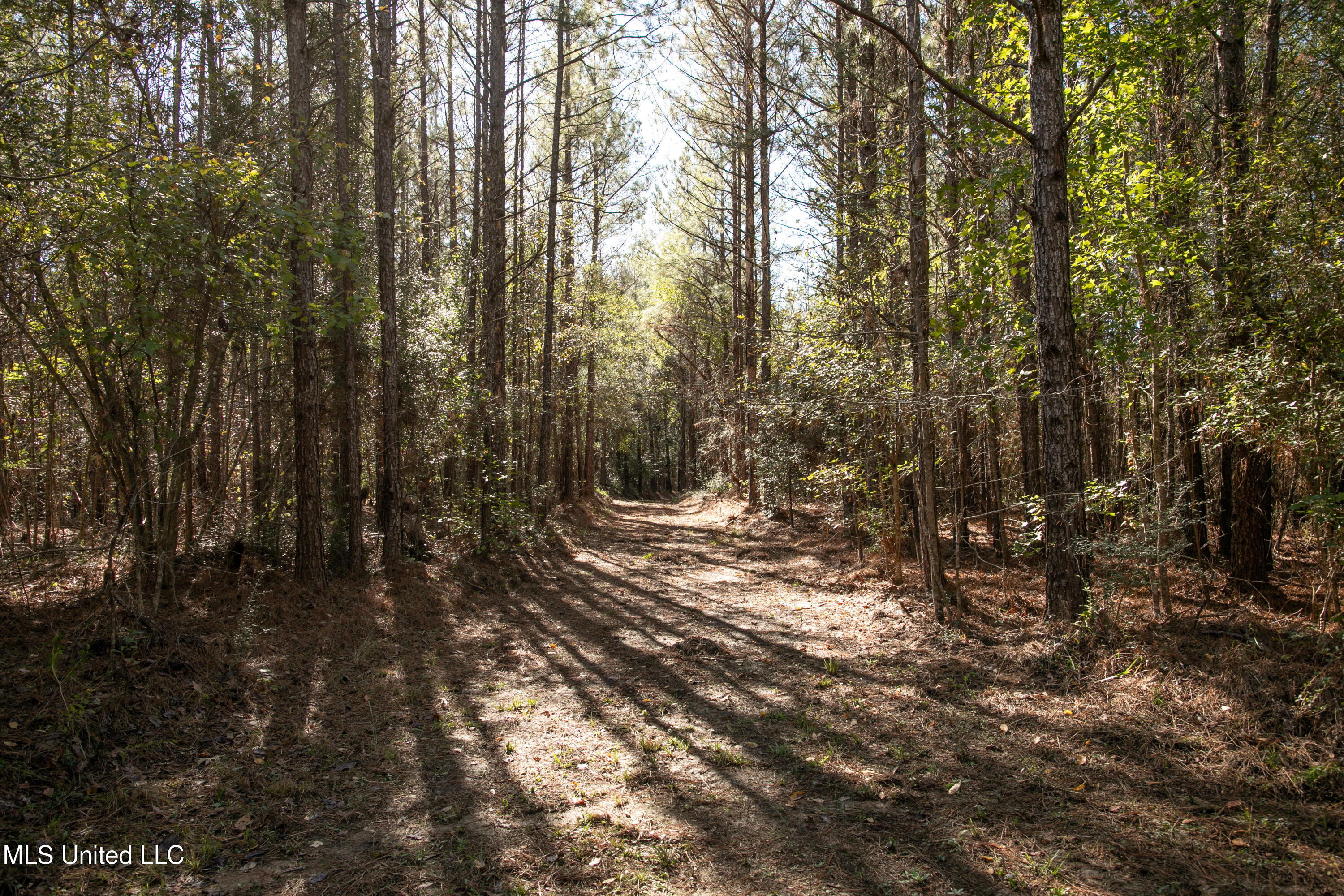 Union Road Hazlehurst, MS 39083 - Photo 4 of 29 copiah40-35