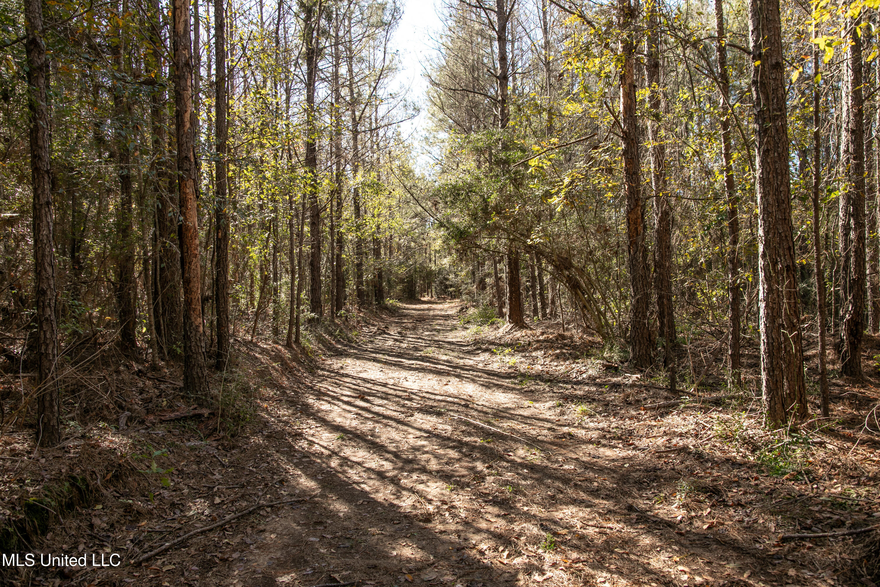 Union Road Hazlehurst, MS 39083 - Photo 7 of 29 copiah40-38