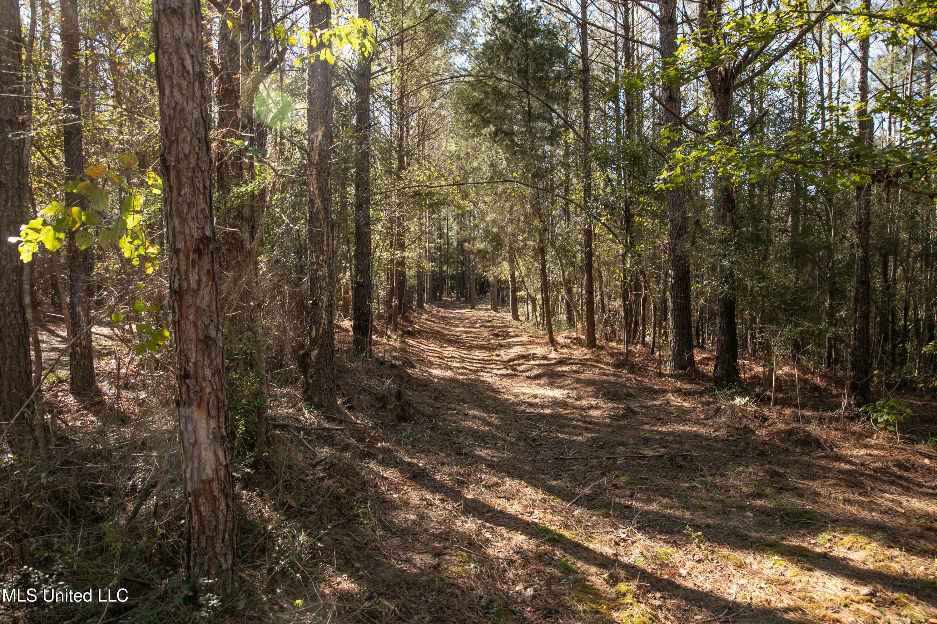 Union Road Hazlehurst, MS 39083 - Photo 8 of 29 copiah40-39