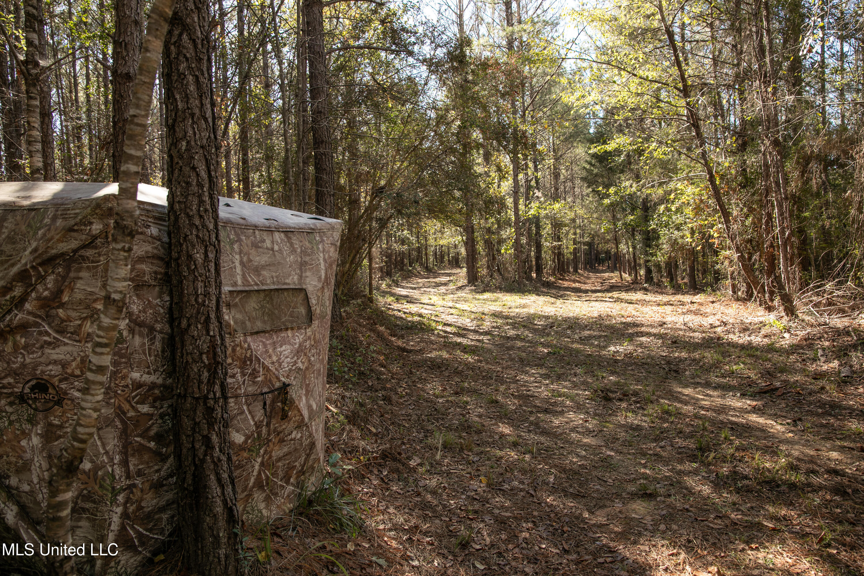Union Road Hazlehurst, MS 39083 - Photo 9 of 29 copiah40-40