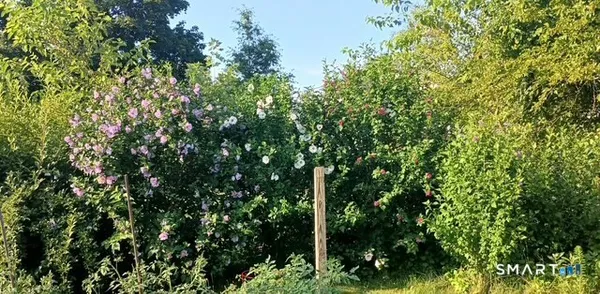 $279,900 | 9 Warriner Avenue, Enfield, CT 06082