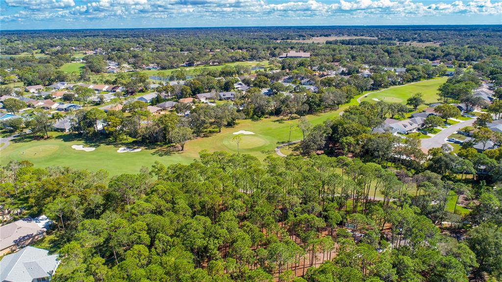 2139 Sea Pines Court Spring Hill, FL 34606 - Photo 25 of 47