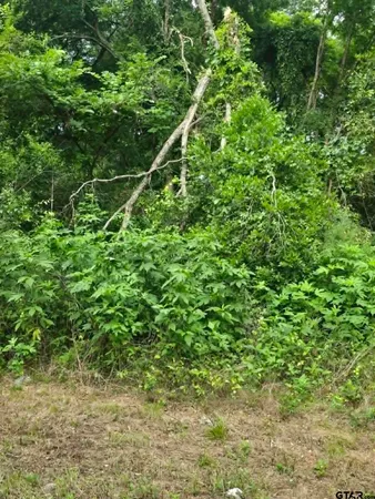 $7,000 | Tbd Sellars Street, Daingerfield, TX 75638