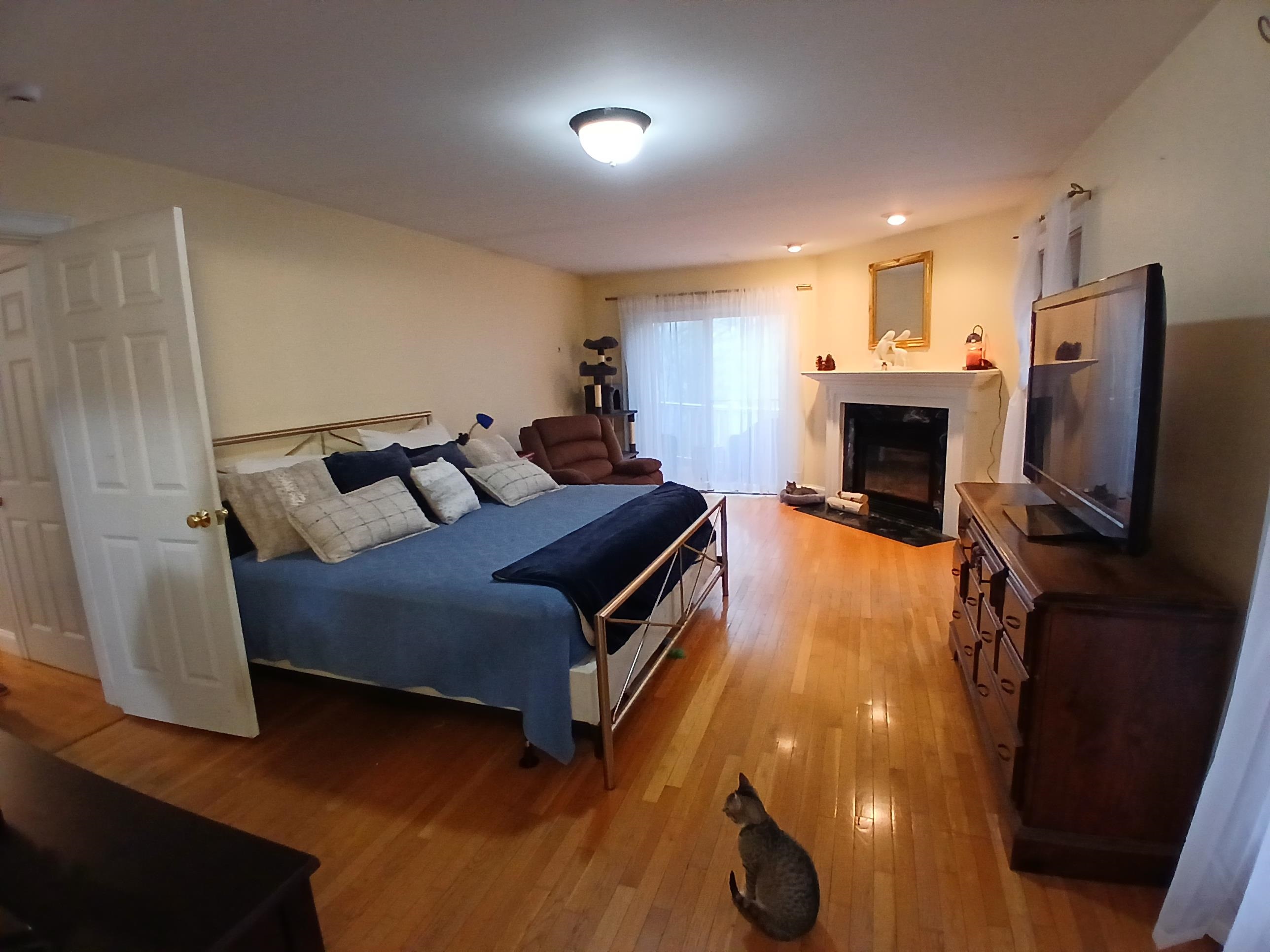 224 Walker Road Grantham, NH 03753 - Photo 38 of 53