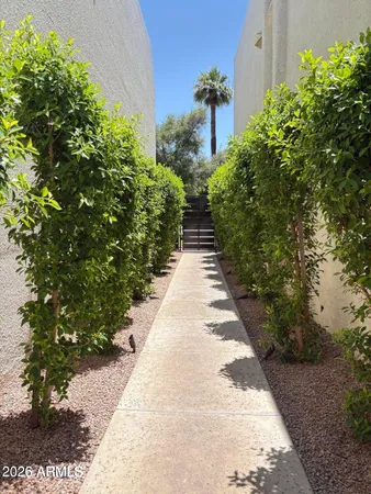 a view of a backyard with potted plants