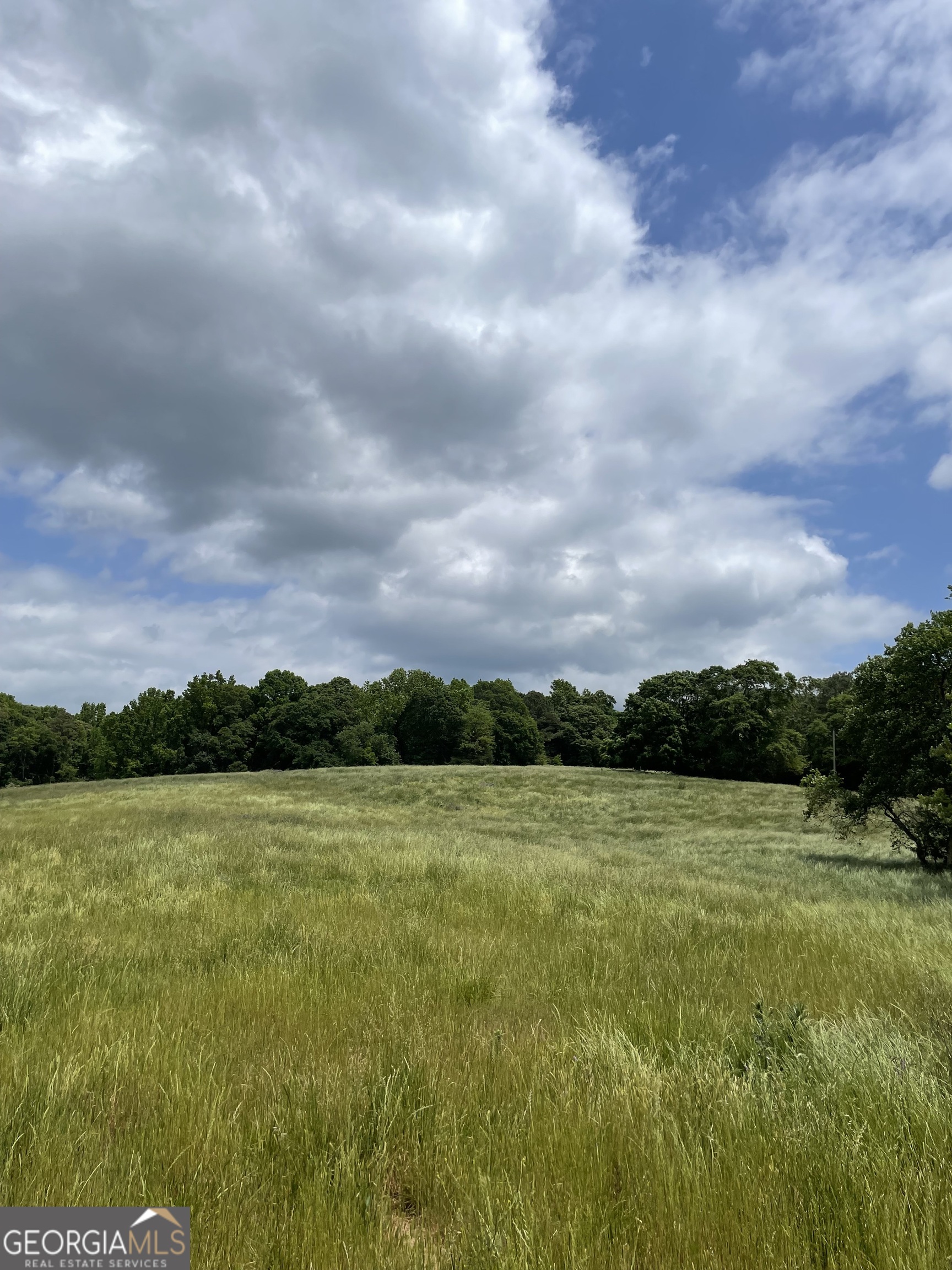 0 Quail Run Road Royston, GA 30662 - Photo 1 of 11