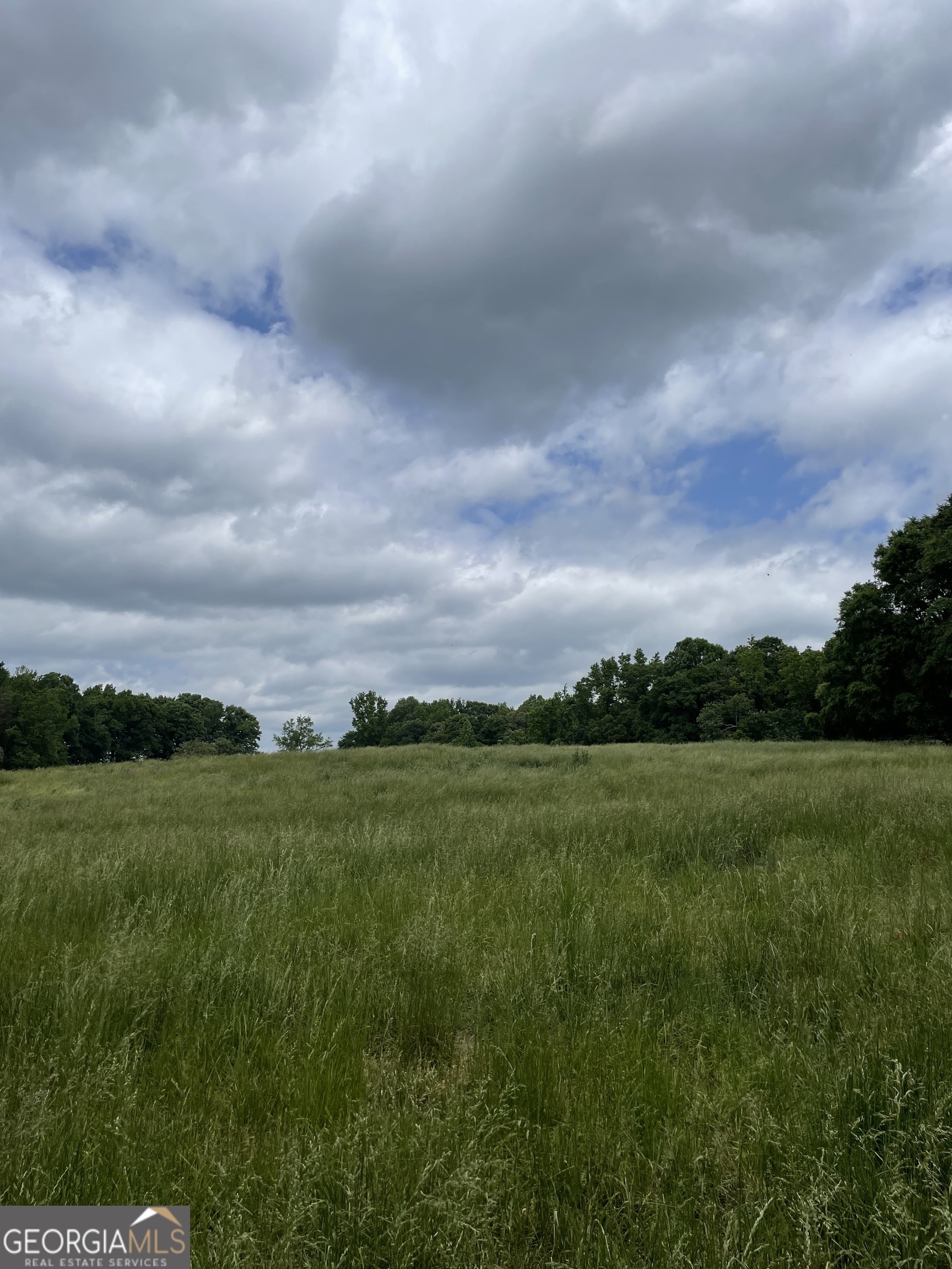 0 Quail Run Road Royston, GA 30662 - Photo 11 of 11