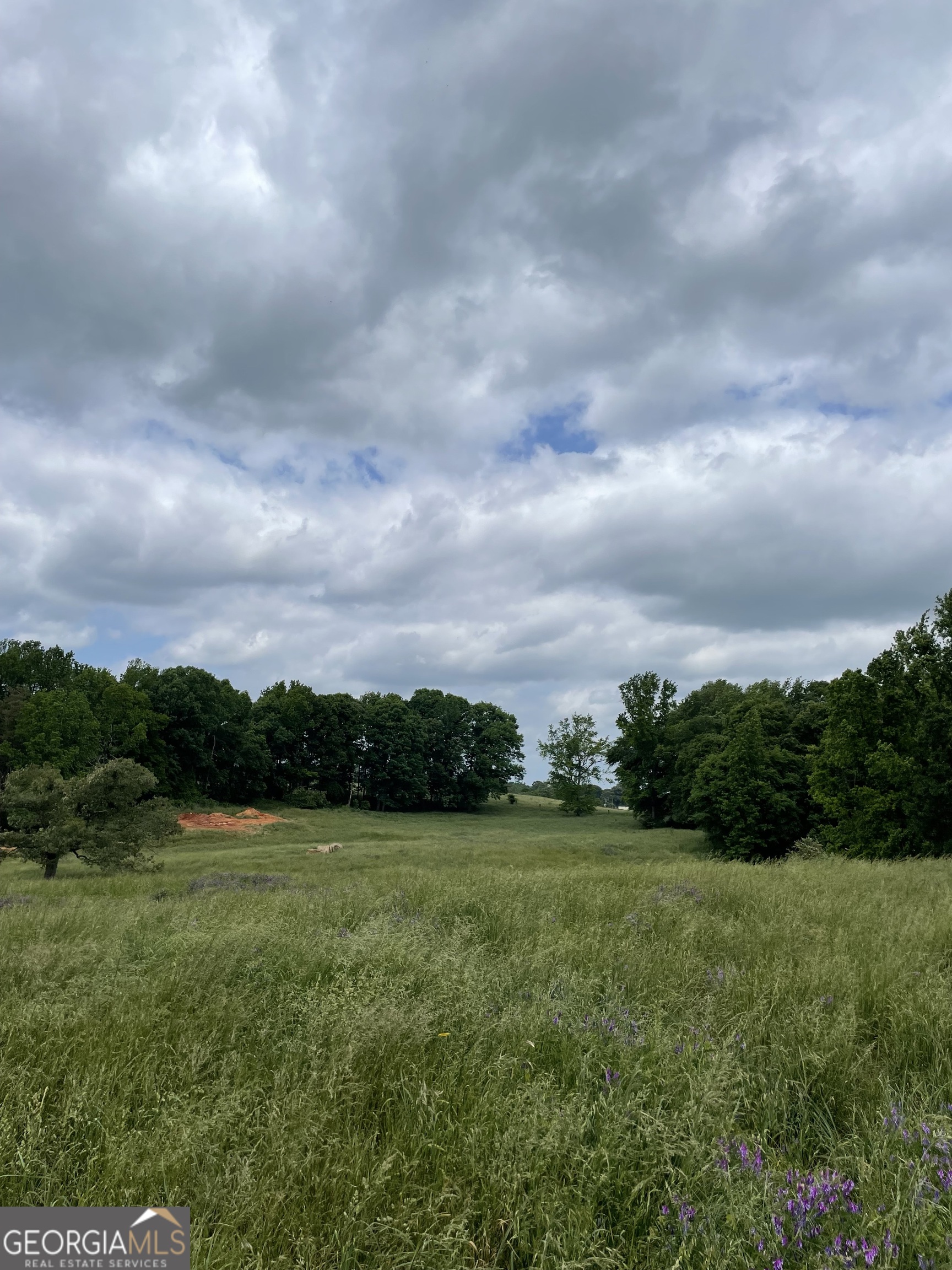 0 Quail Run Road Royston, GA 30662 - Photo 6 of 11