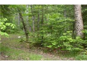 0 Devil`s Hill Road Peacham, VT 05862 - Photo 2 of 4