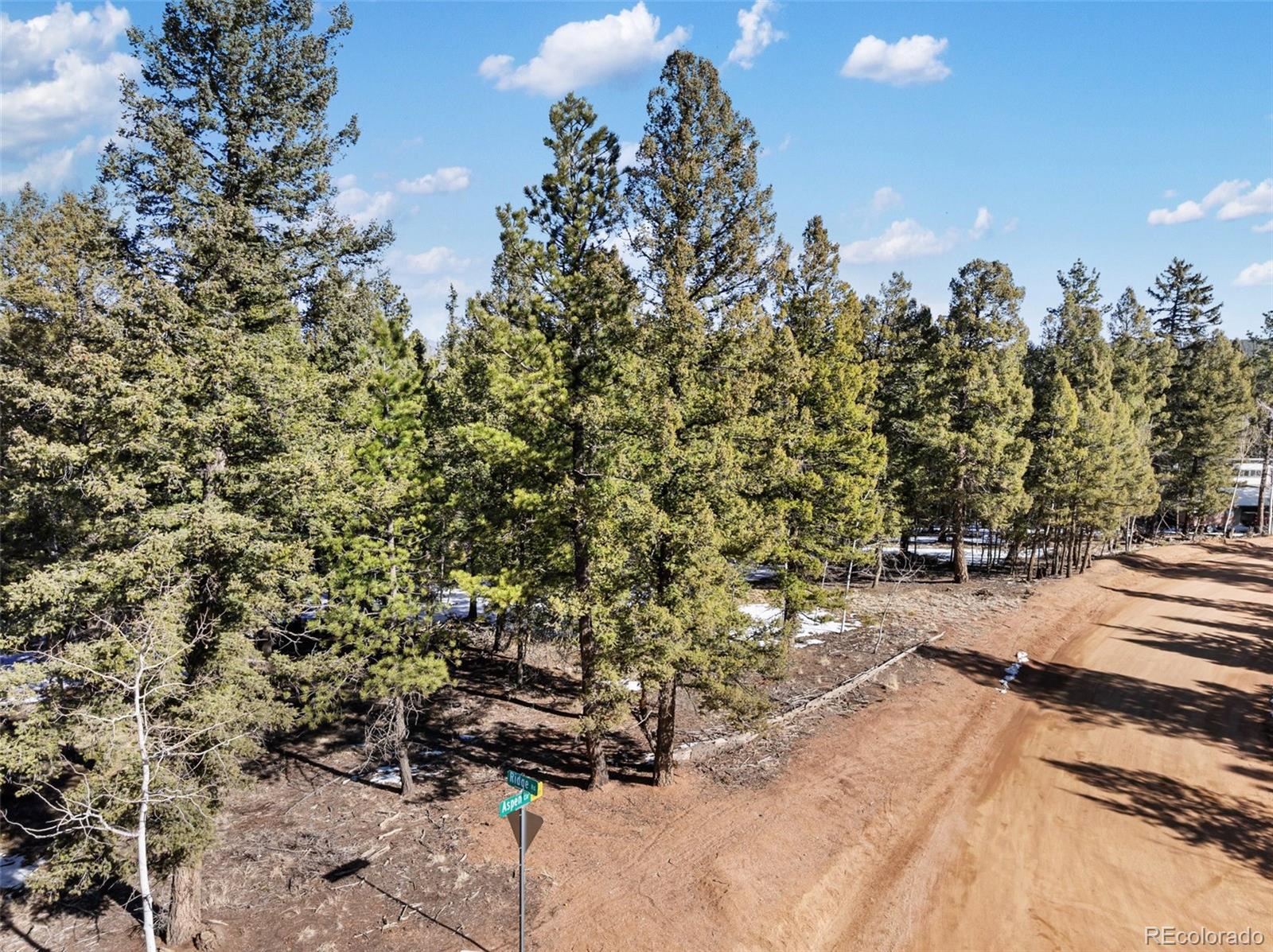 810 Ridge Road Divide, CO 80814 - Photo 8 of 27