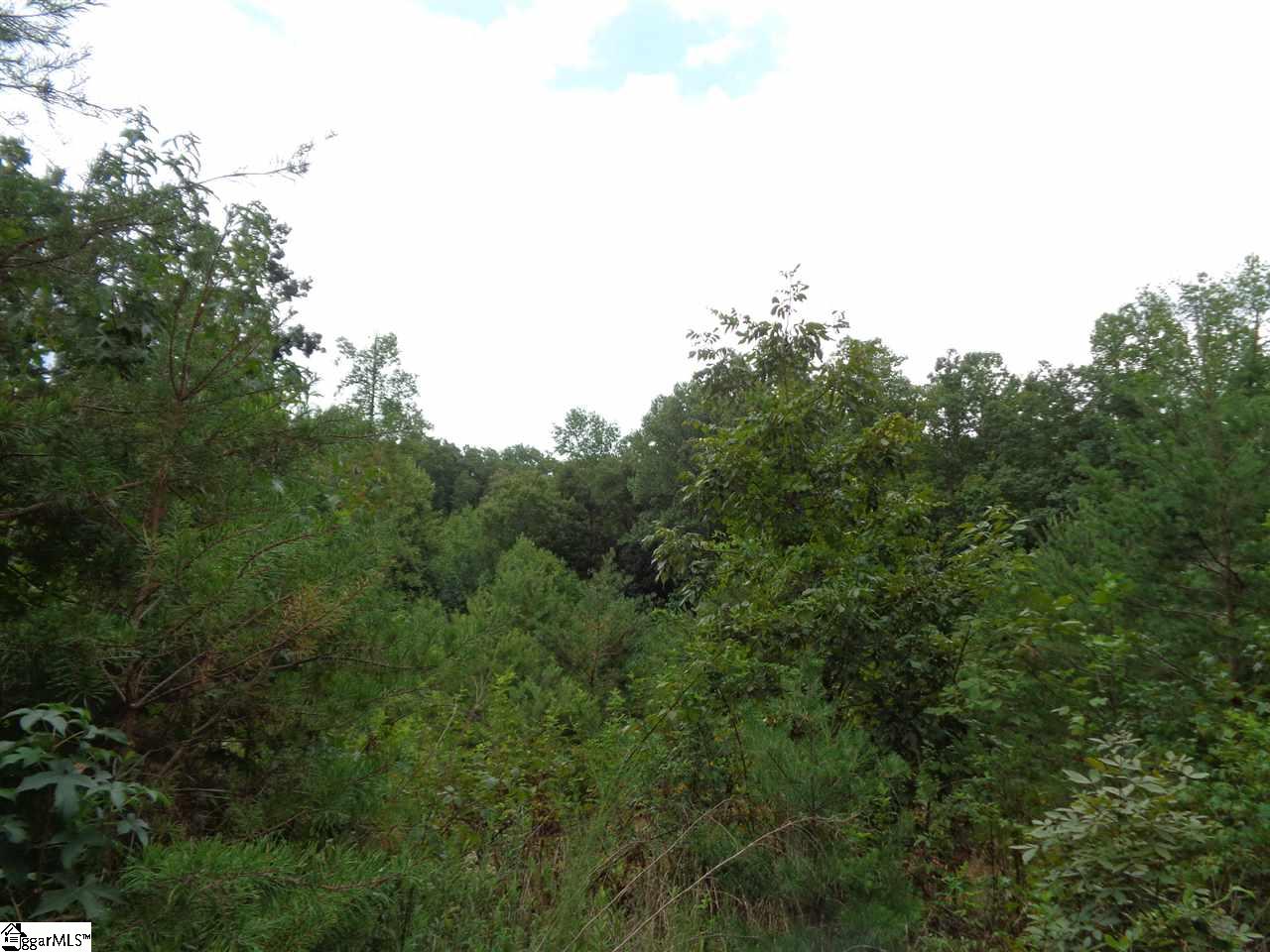 Batson Road Travelers Rest, SC 29690 - Photo 3 of 6 Gallery Image 3