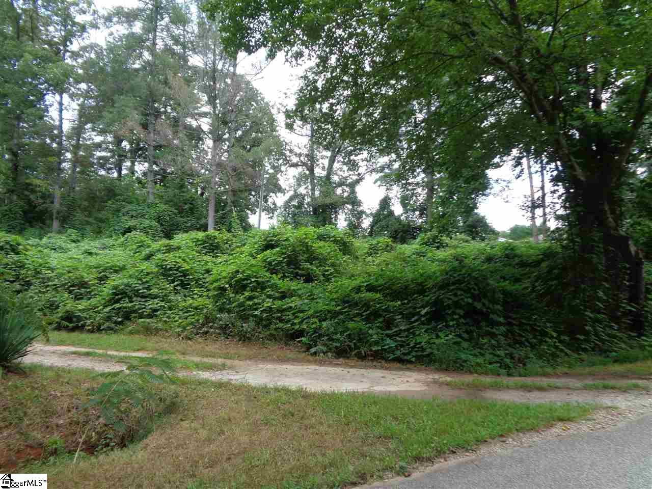 Batson Road Travelers Rest, SC 29690 - Photo 5 of 6 Gallery Image 5