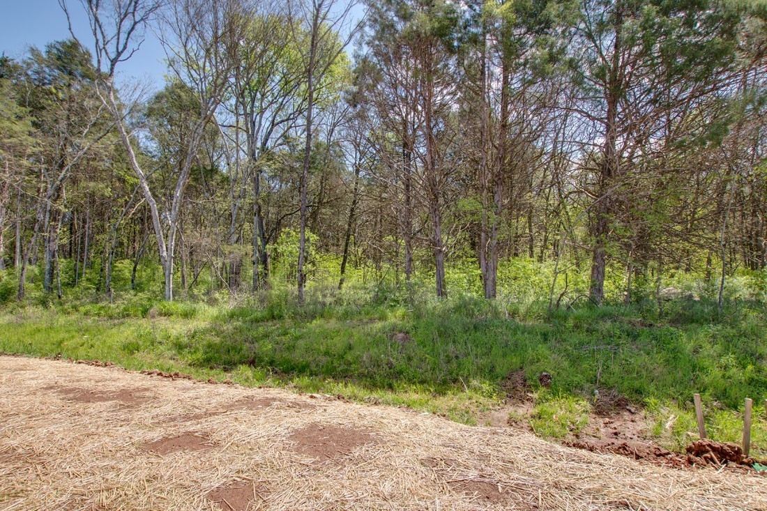 124 Willy Mae Road, Unit 131 Murfreesboro, TN 37129 - Photo 27 of 44 Gallery Image 27