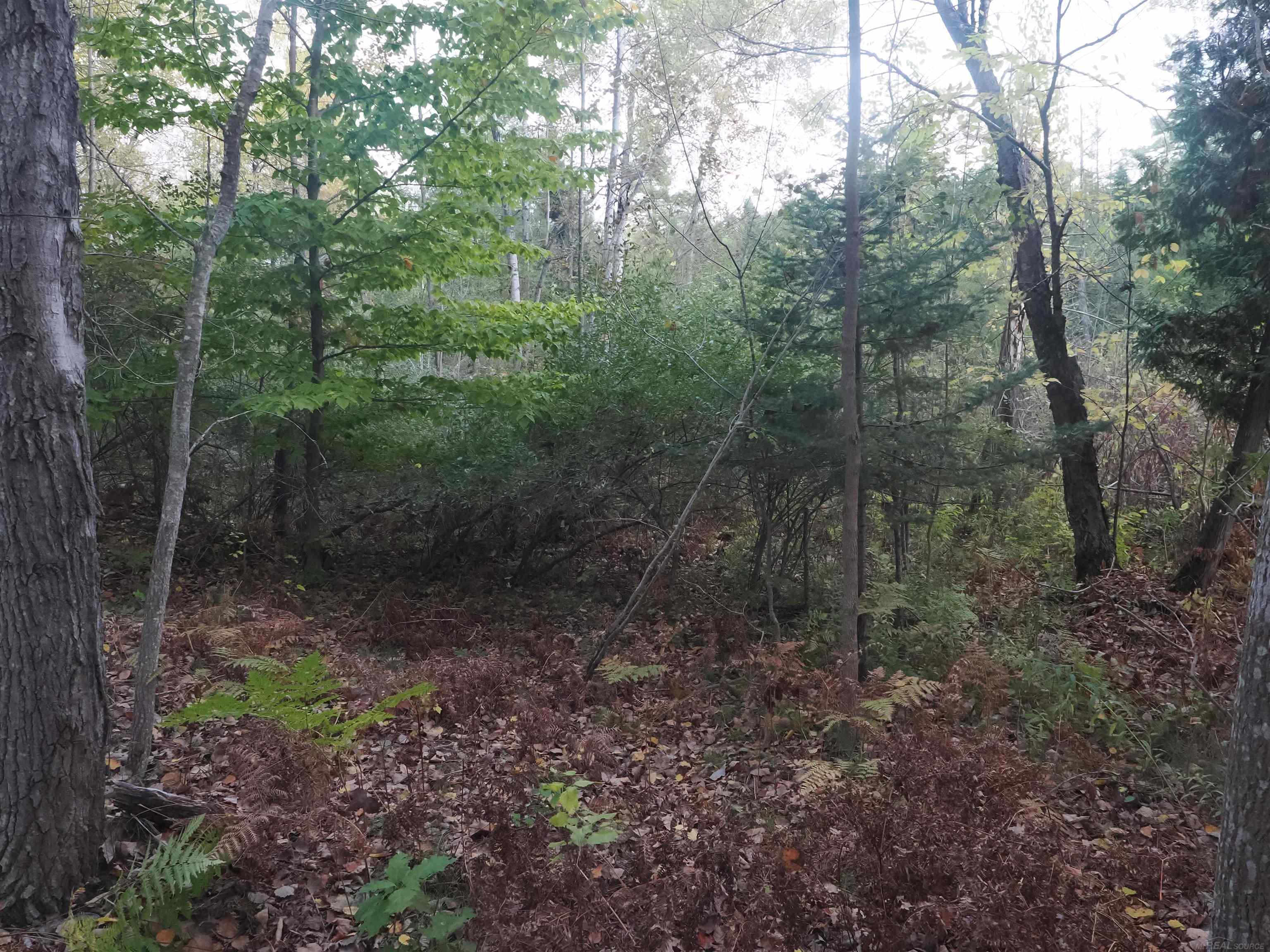 Xxx Tolan Road Spruce, MI 48762 - Photo 68 of 79