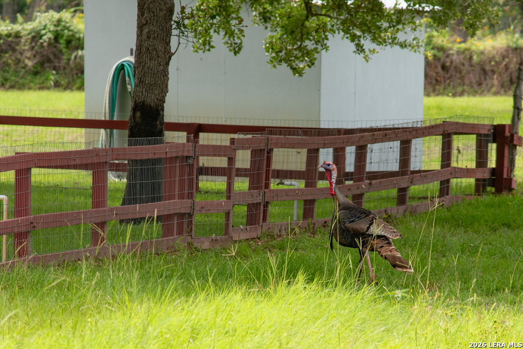 104 Longhorn Road Stockdale, TX 78160 - Photo 34 of 47 a backyard of a house with table and chairs