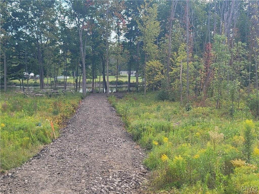 Lot 2 Pendergast Road Phoenix, NY 13135 - Photo 4 of 48
