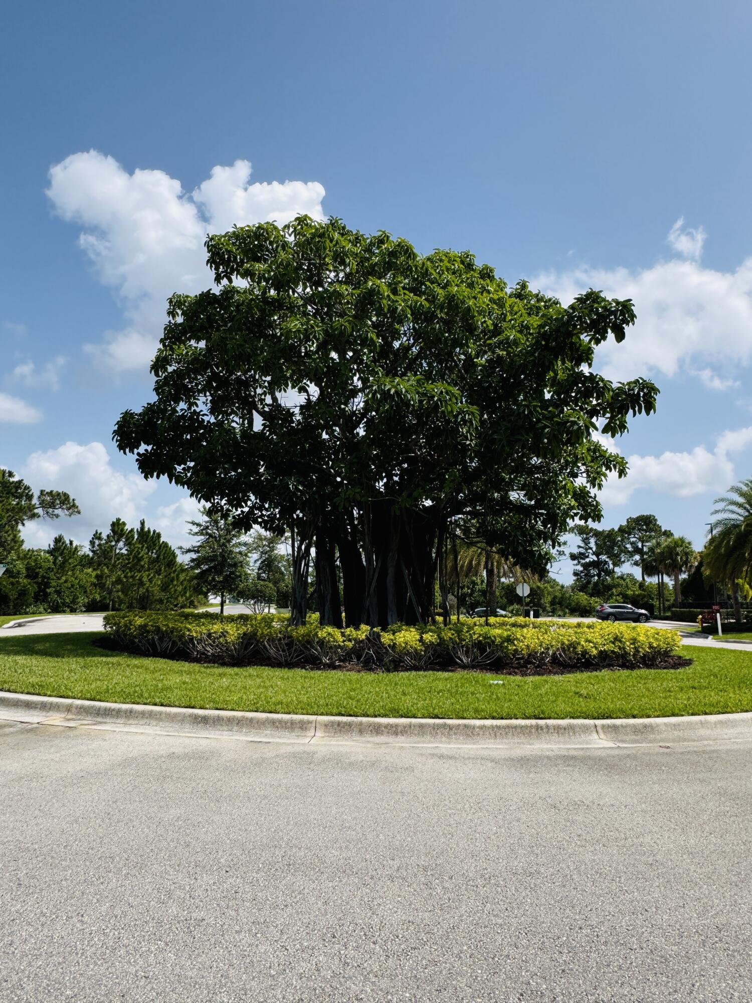 163 Southwest Pomeroy Street Stuart, FL 34997 - Photo 4 of 52 IMG_1858