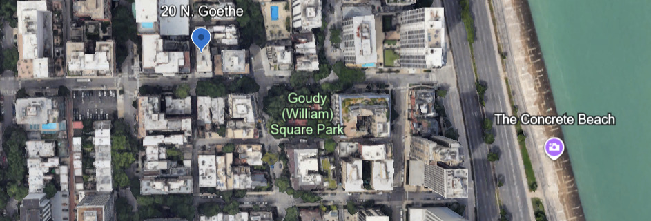 20 East Goethe Street, Unit 203 Chicago, IL 60610 - Photo 9 of 9 a city view