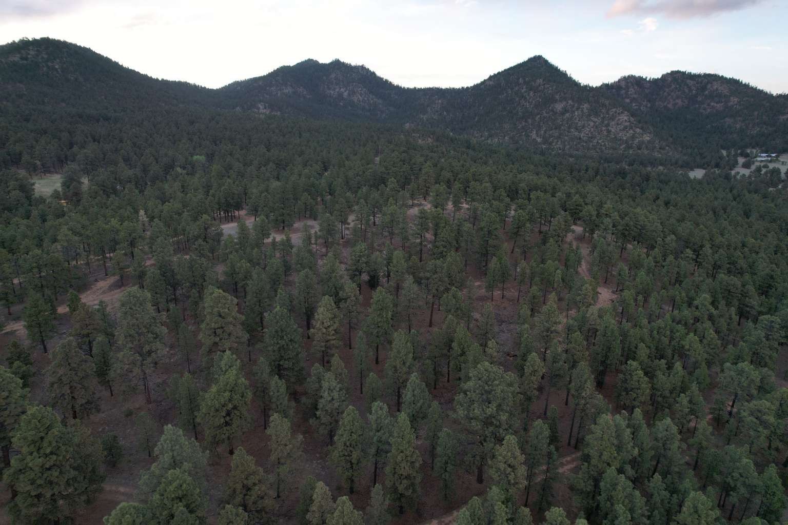 0 A015 County Road Mora, NM 87732 - Photo 17 of 40