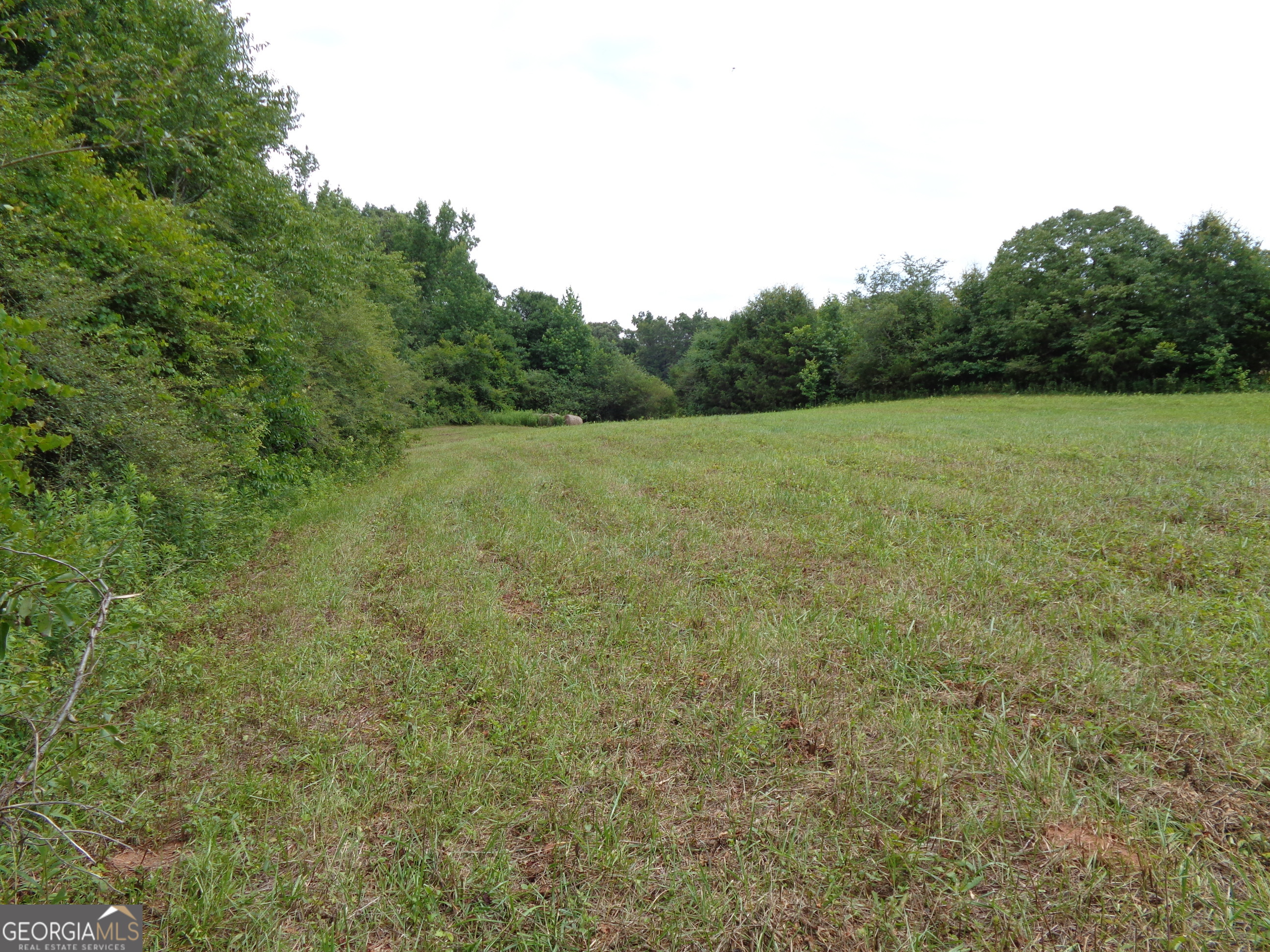 2411 Kesler Road Carnesville, GA 30521 - Photo 16 of 61 a view of a field with trees in background