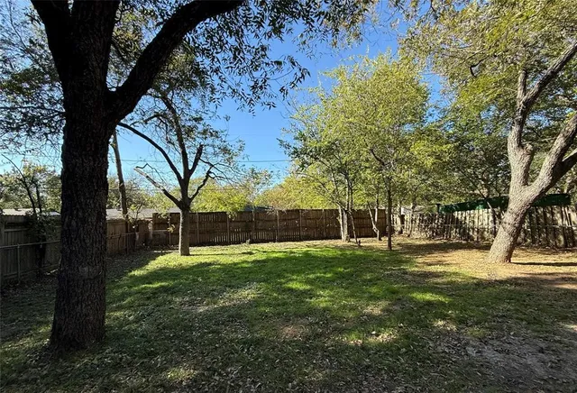 a view of a yard with a tree