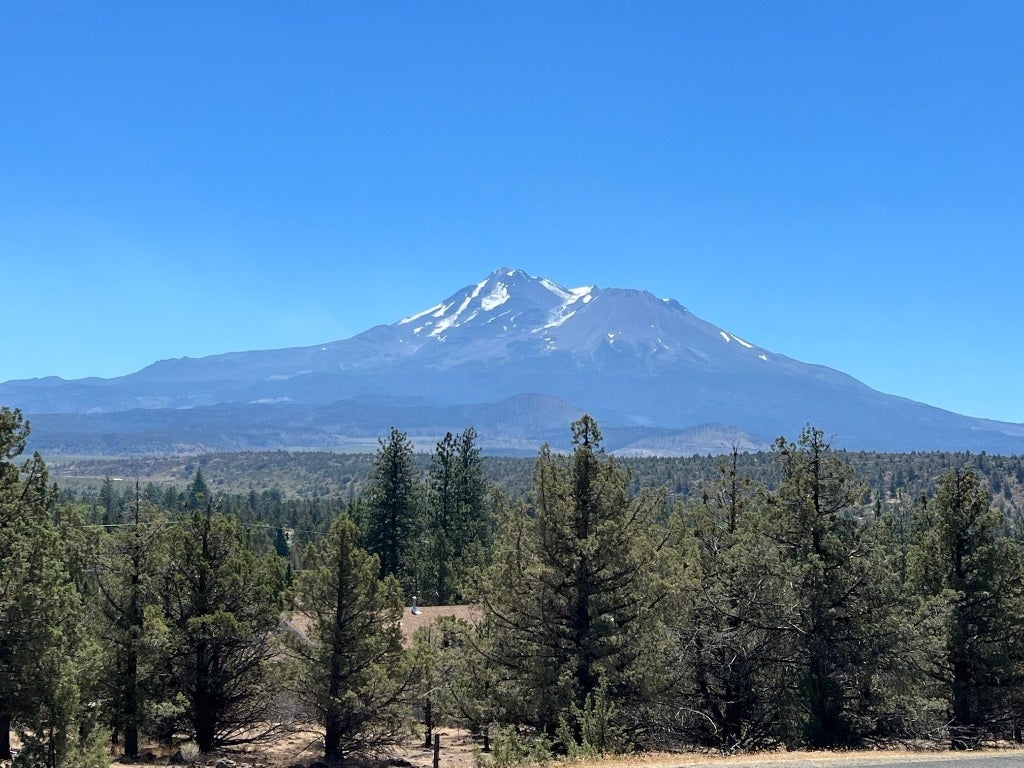 Unit 2-lot 154 Dwinnell Road Weed, CA 96094 - Photo 3 of 33 Gallery Image 3