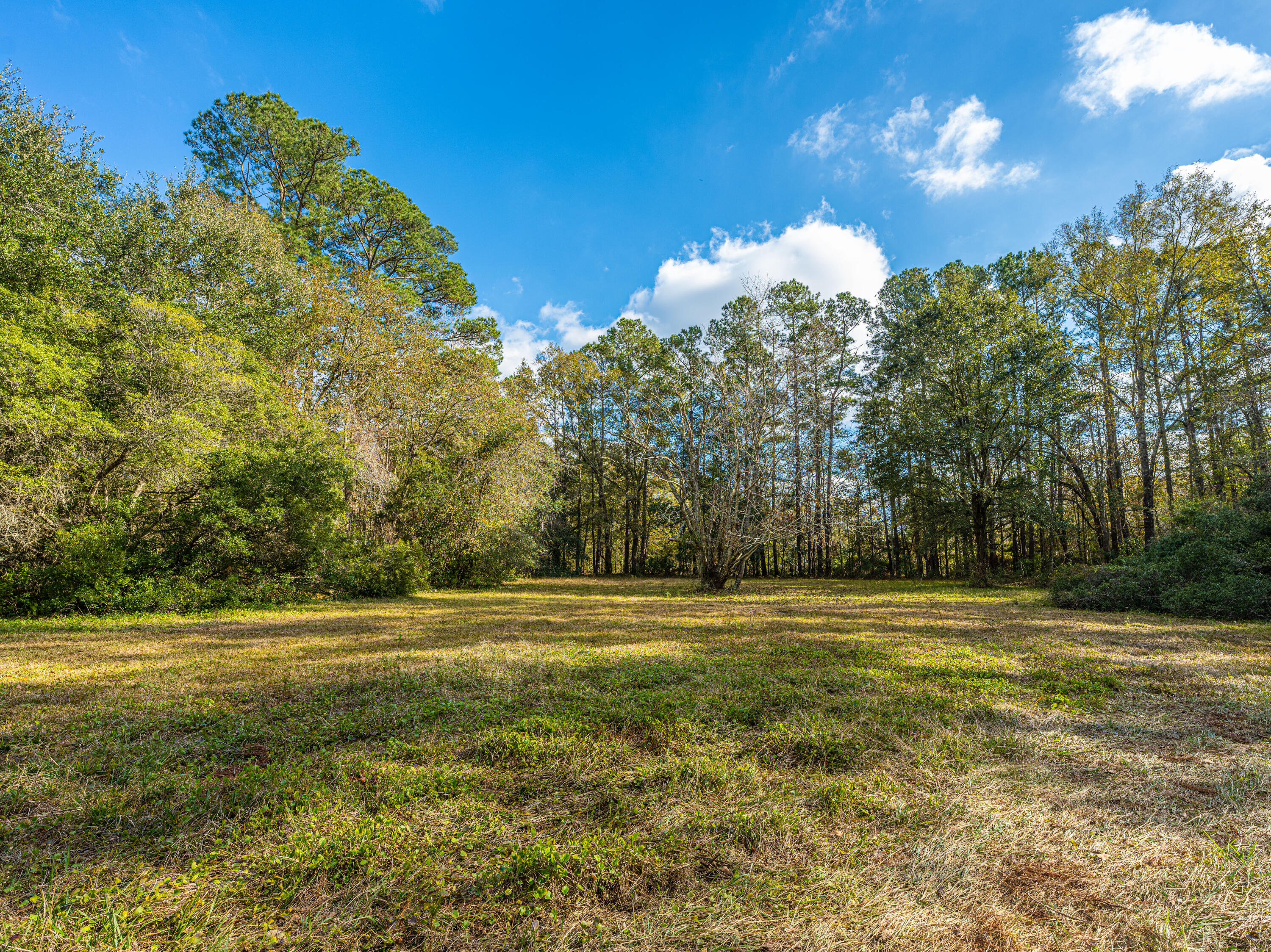 471 Gants Road Moncks Corner, SC 29461 - Photo 33 of 41 471GantsRd37