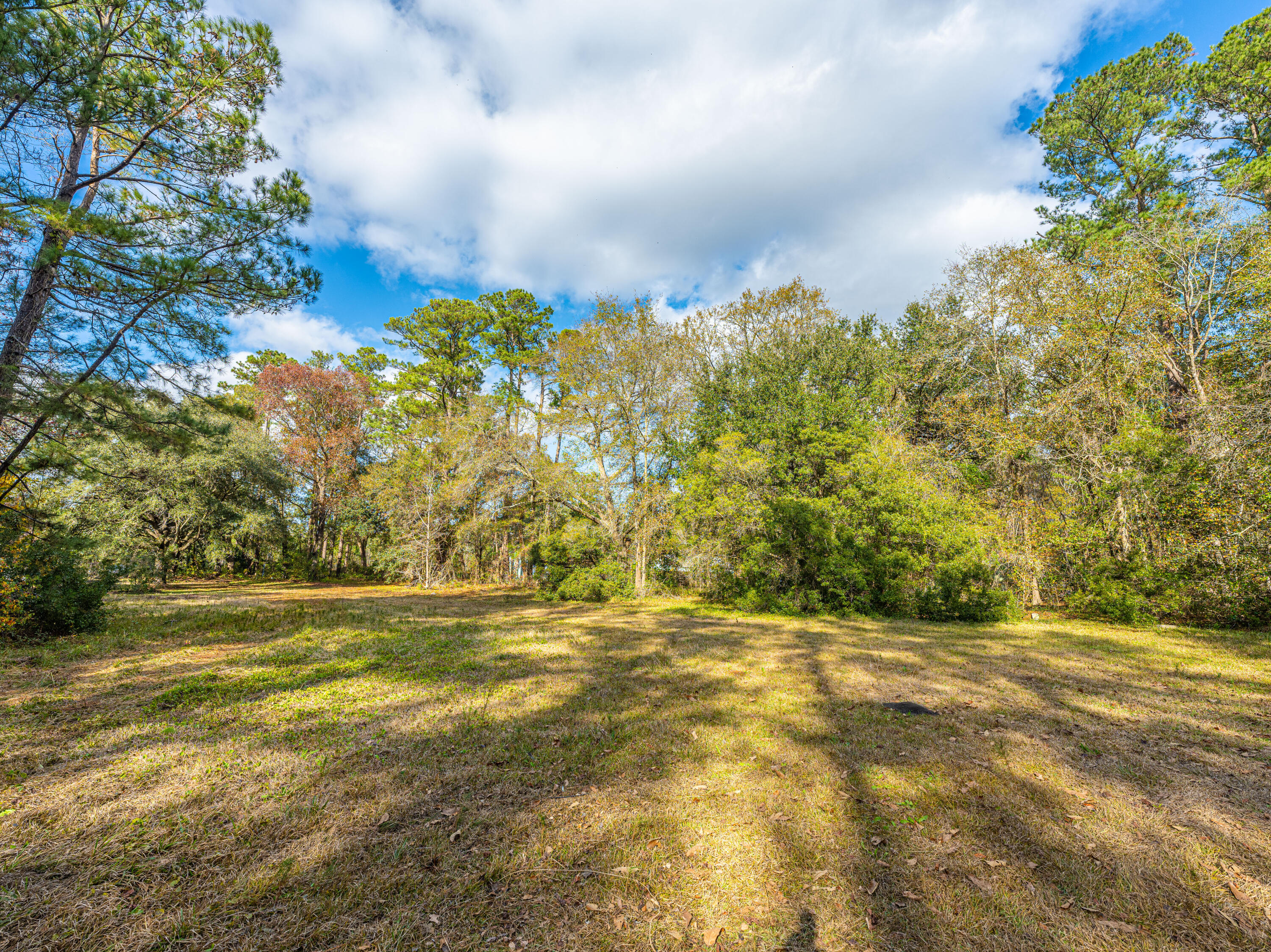 471 Gants Road Moncks Corner, SC 29461 - Photo 34 of 41 471GantsRd38
