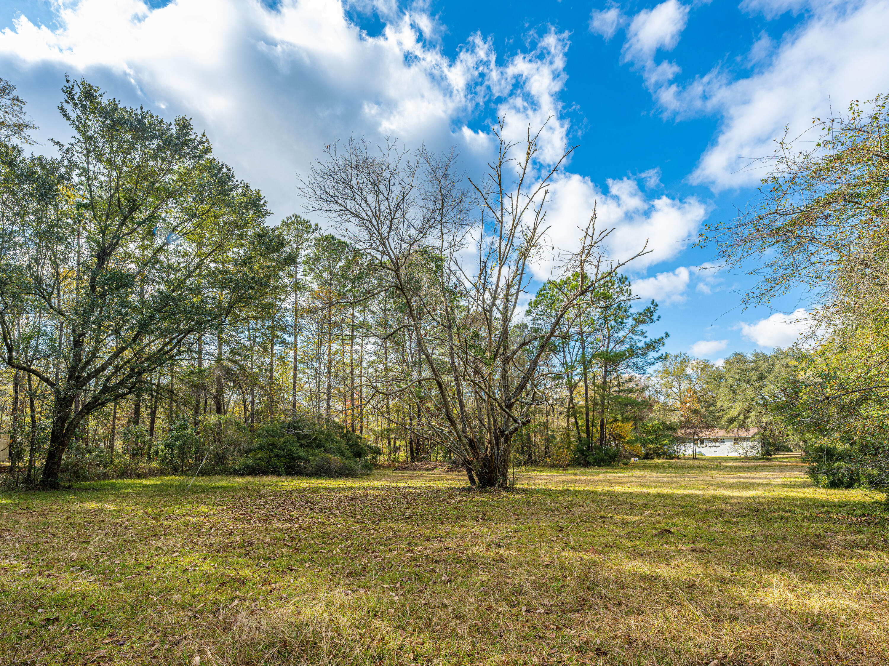 471 Gants Road Moncks Corner, SC 29461 - Photo 37 of 41 471GantsRd41