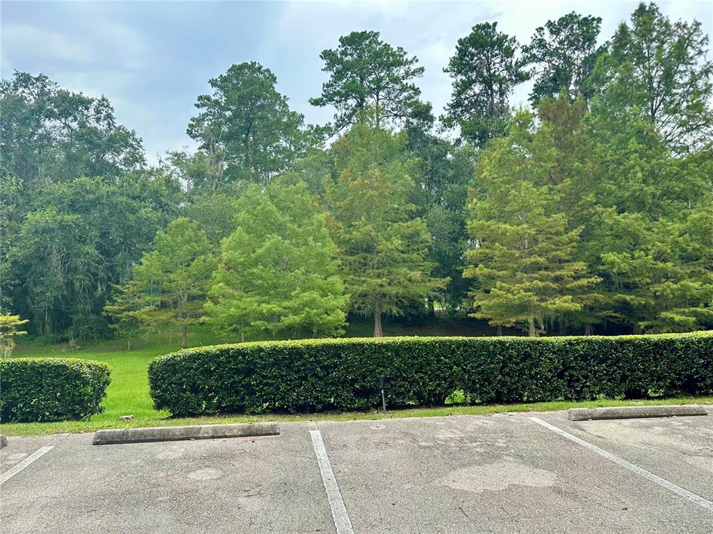 4000 Southwest 23rd Street, Unit 4102 Gainesville, FL 32608 - Photo 3 of 12