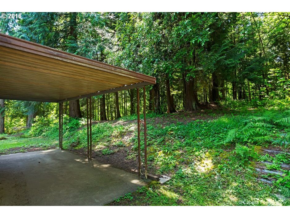 19428 Northwest Logie Trail Road Portland, OR 97231 - Photo 15 of 20 a backyard of a house with large trees and plants