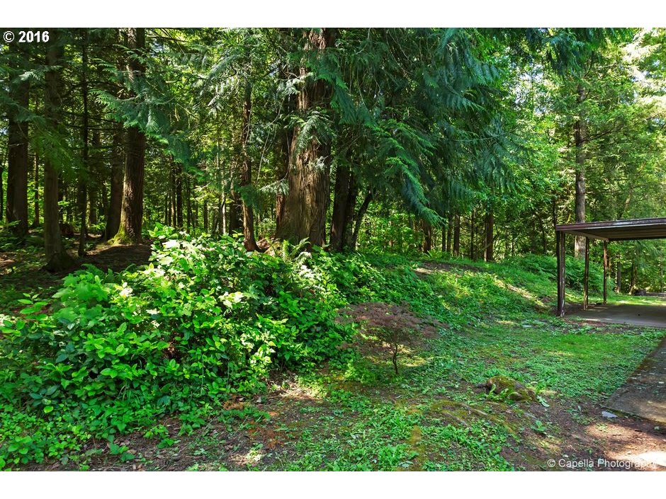 19428 Northwest Logie Trail Road Portland, OR 97231 - Photo 16 of 20 a view of a backyard