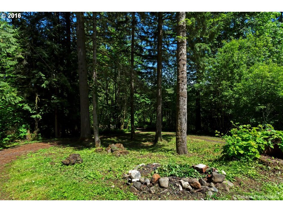 19428 Northwest Logie Trail Road Portland, OR 97231 - Photo 18 of 20 a view of outdoor space and garden