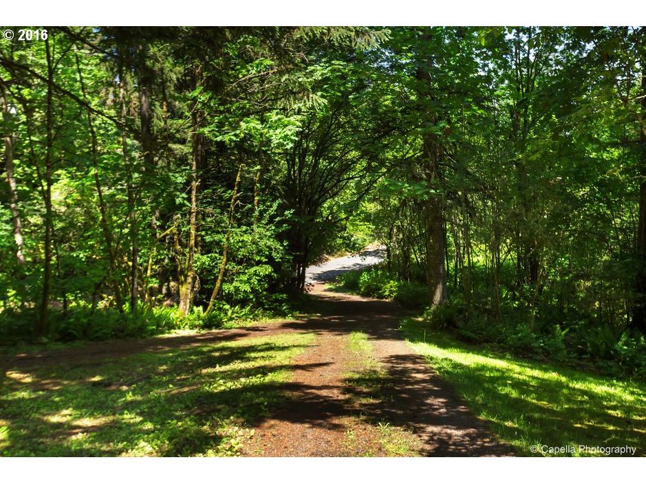 19428 Northwest Logie Trail Road Portland, OR 97231 - Photo 19 of 20 a view of yard with green space