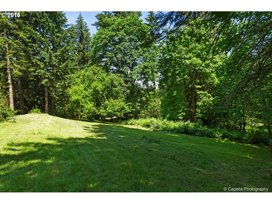 19428 Northwest Logie Trail Road Portland, OR 97231 - Photo 20 of 20 a view of a yard with a tree