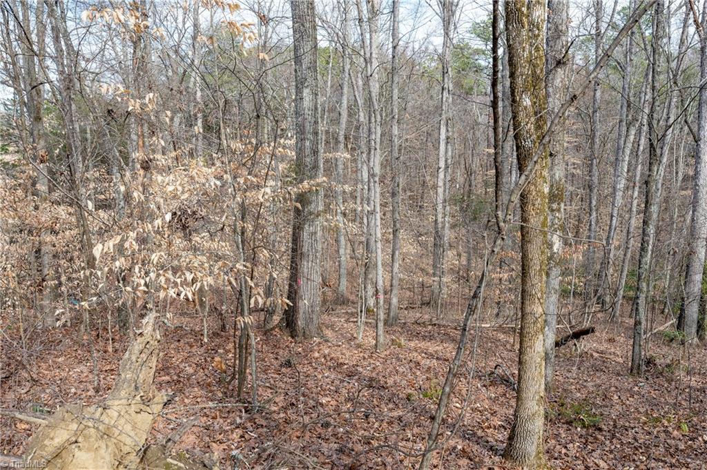 241 Plemmons Road Lewisville, NC 27023 - Photo 11 of 15 Gallery Image 11