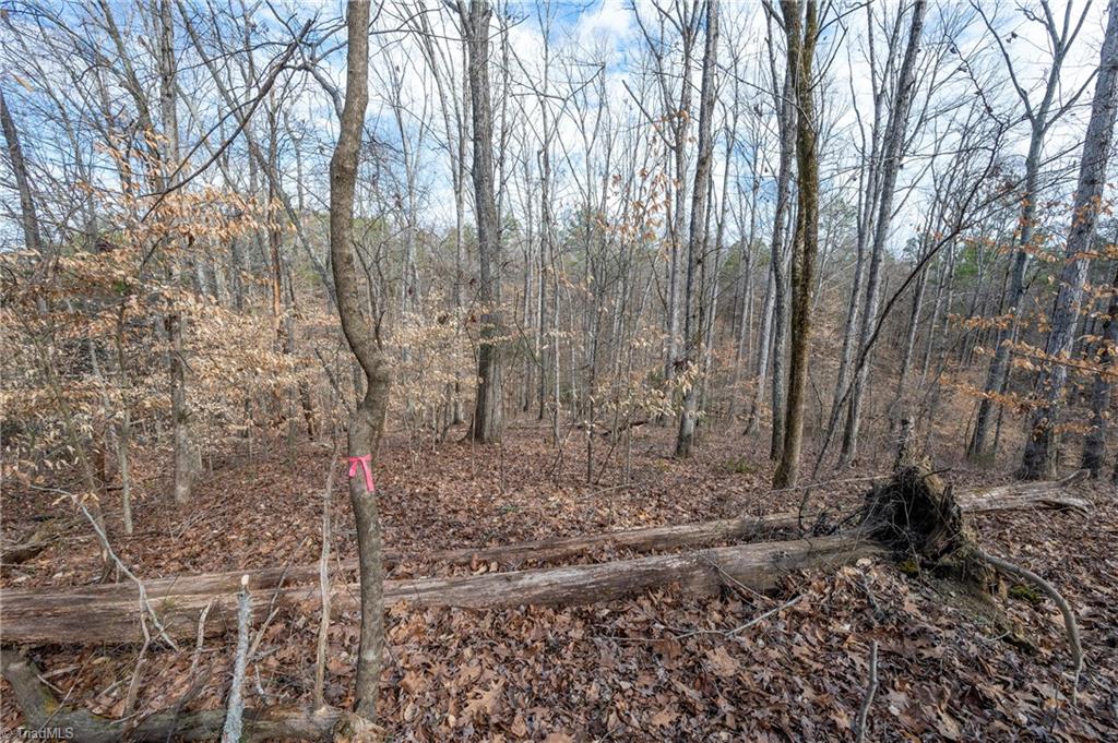 241 Plemmons Road Lewisville, NC 27023 - Photo 12 of 15 Gallery Image 12