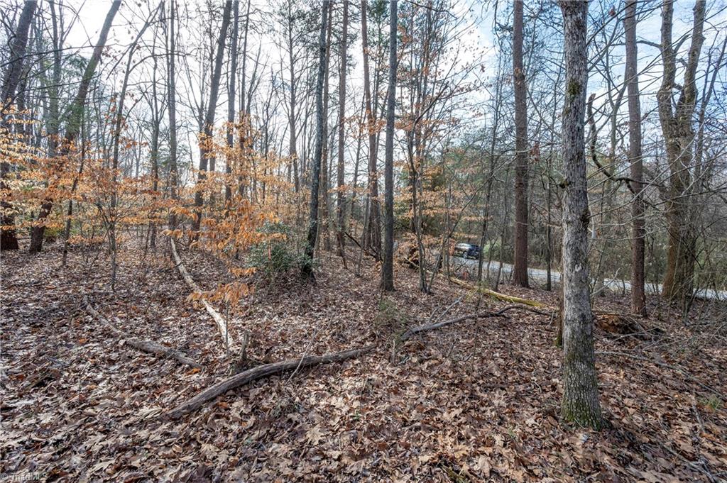 241 Plemmons Road Lewisville, NC 27023 - Photo 13 of 15 Gallery Image 13