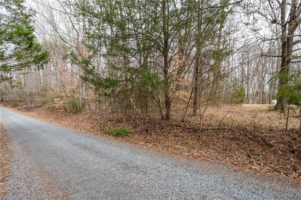 241 Plemmons Road Lewisville, NC 27023 - Photo 6 of 15 Gallery Image 6