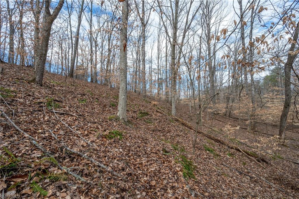 241 Plemmons Road Lewisville, NC 27023 - Photo 9 of 15 Gallery Image 9