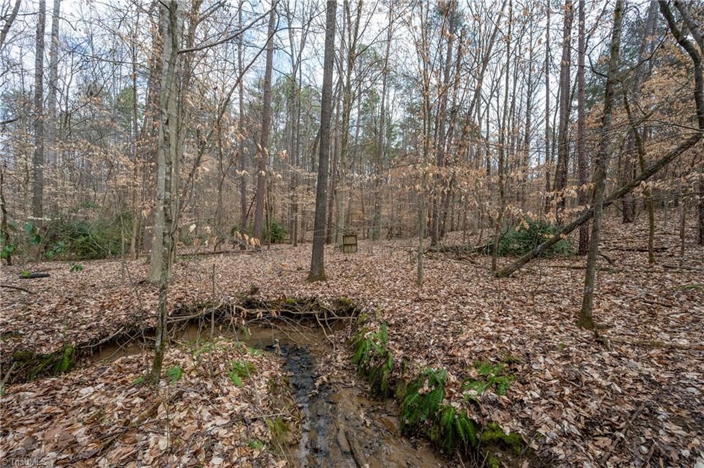 241 Plemmons Road Lewisville, NC 27023 - Photo 10 of 15 Gallery Image 10