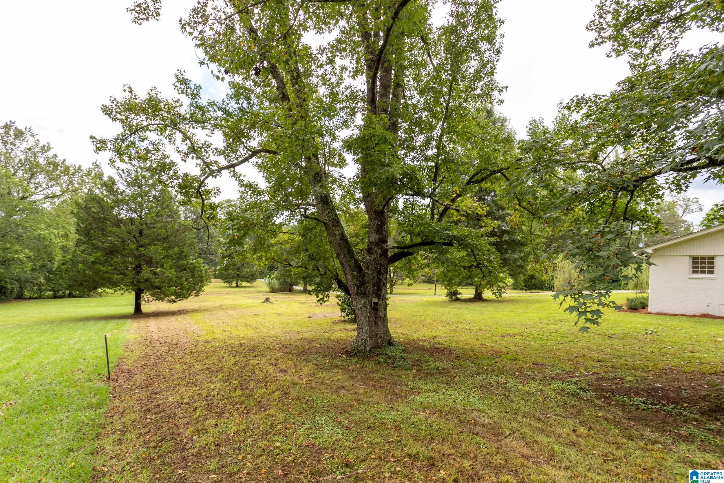 711 Wolf Creek Road South Pell City, AL 35128 - Photo 30 of 40