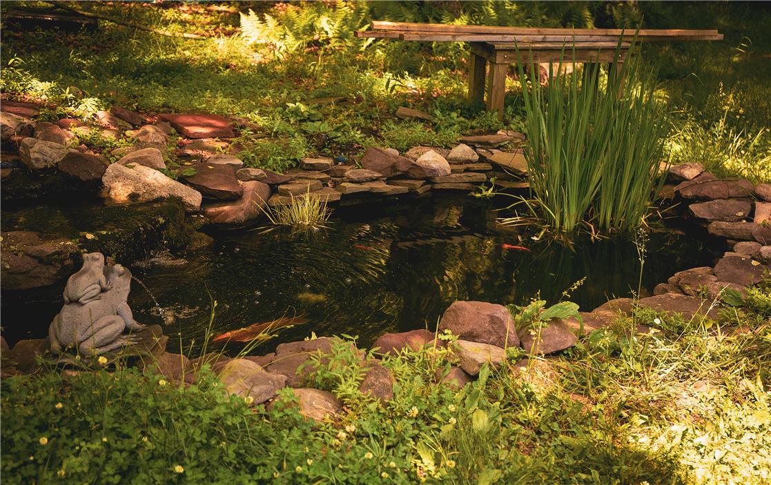 50 Anthony's Road White Haven, PA 18661 - Photo 50 of 57 a view of a backyard of the house