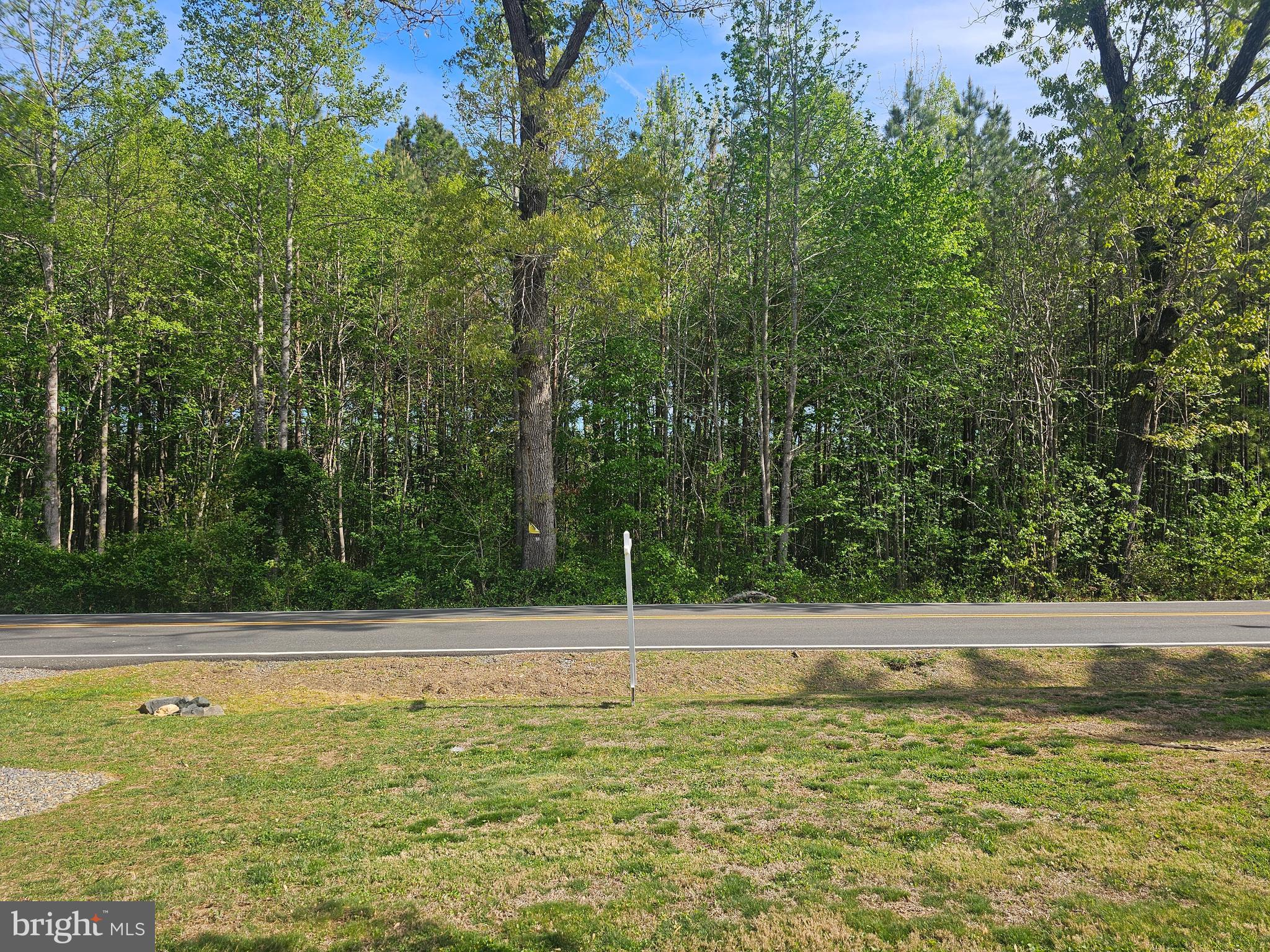 8421 Pamunkey Road Spotsylvania, VA 22551 - Photo 11 of 47 ACROSS THE STREET VIEW