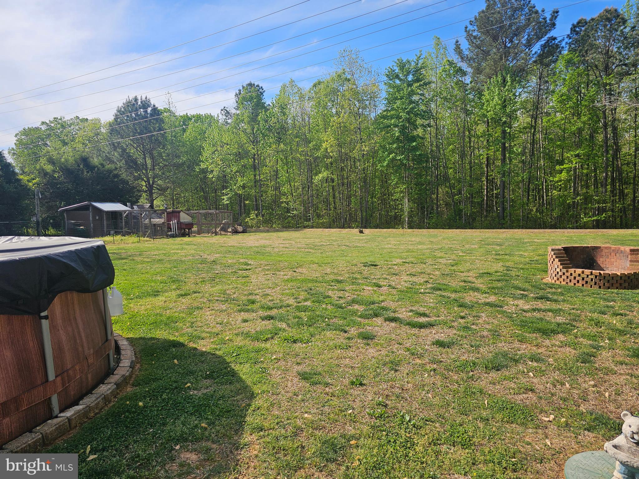 8421 Pamunkey Road Spotsylvania, VA 22551 - Photo 36 of 47 VIEW OF REAR YARD